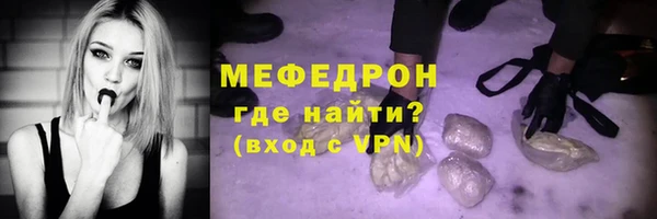 молекула духа Богданович