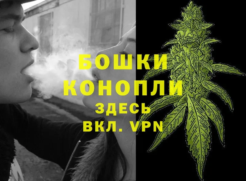 где купить наркоту  KRAKEN tor  Канабис THC 21%  Невинномысск 